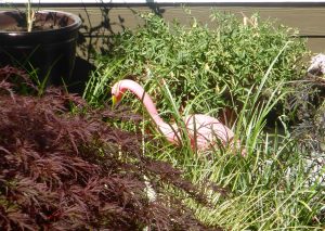 Die einen haben Gartenzwerge, die anderen stellen sich einen Flamingo in den Vorgarten.