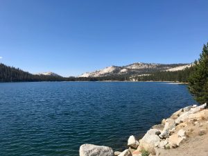 Tenaya Lake Richtung Westen