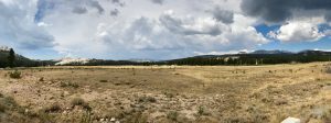 Tuolumne Meadows