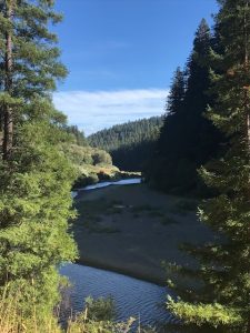 Und nochmals der Eel River.